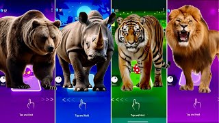 🦖 The Wild Bear vs Funny Rhinoceros vs The Tiger vs The King Lion  Coffin Dance 🪩 [upl. by Beetner]