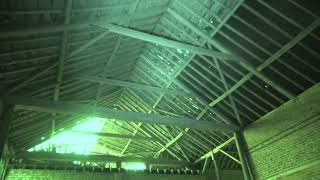 Soprano Pipistrelle Foraging inside Barn 2west Farm August 2024 [upl. by Adnalu]