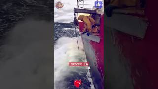 Ship life  Dark sea  Sea life  Beautiful sea ⛵🌊🦭🚢⚓🛳️🔱 shorts youtubeshorts korean sea ship [upl. by Iznek]