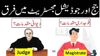 Difference between JUDGE and MAJISTRATE Criminal Civil Cases District court Season court [upl. by Gleda]