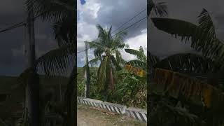 Going To My Hometown In Barili Cebu Philippines [upl. by Solrac]