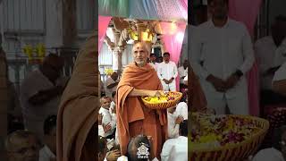 SMVS Satellite 8th Patotsav  HDH Swamishri Vicharan 2024 [upl. by Ennovyahs]