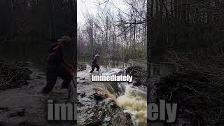 Quickest Beaver dam removal  💪  TerrellSpivey [upl. by Hsiri]