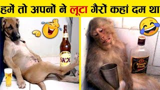 इन जानवरों से पंगा ना बाबा ना 🤣😜 Funny Animals Video 2022 Part3 [upl. by Cher599]