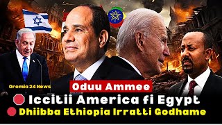 🔴 Oduu AMMEE‼️Iccitii America fi Egypt Saaxilamee Ethiopia fi Israel Oromia 24 News [upl. by Akemehc814]