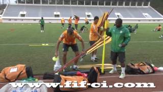 ENTRAINEMENT DES ELEPHANTS DIMANCHE 25 JANVIER 2015 [upl. by Nebra]