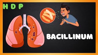 Bacillinum Homoeopathic medicine sign amp symptoms HOMOEO DRUG PICTURE homoeopathy medicalvideo [upl. by Eenar]