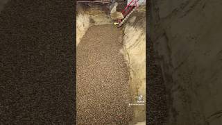 FreddyOperator  Leveling of an attenuation tank base with shingle [upl. by Aber913]