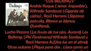 HISTORIA DE LOS BELKINGS 2 [upl. by Asiral]