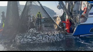 Skiff POV INSANE 30K lbs Salmon Set  Wild Alaska Purse Seining [upl. by Ahron695]