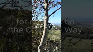 Sunshine on the Cotswold Way cotswold cotswolds travel hiking hikingadventures [upl. by Hecht]