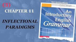 Grammar  Second Stage  Chapter 11  Inflectional Paradigms  Part 3 [upl. by Berardo957]