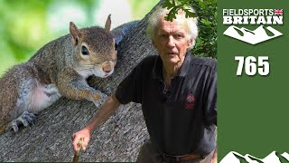 Fieldsports Britain – squirrel vandals [upl. by Latoya]