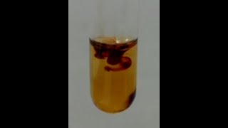 Test for IronIII Ion [upl. by Acinorrev831]