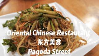 202307 Oriental Chinese Restaurant 东方美食  Pagoda Street Singapore [upl. by Reh]