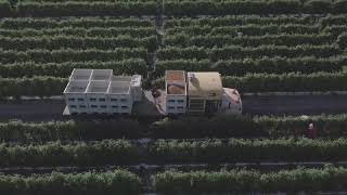 Lipman Family Farms  Tour our FL Farms [upl. by Winnie]