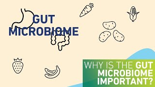 Why is the gut microbiome important [upl. by Oned871]