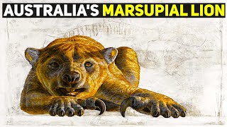 Australias Fascinating Extinct Marsupial Lion [upl. by Alvera]