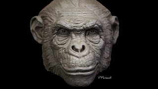 Sculpting a Chimp Part 1 [upl. by Dove226]