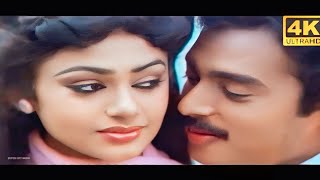 Manchu Kurise Full 4k Video Song  AbhiNandana Movie Songs  Karthik Sobhana  Ilayaraja [upl. by Owen]