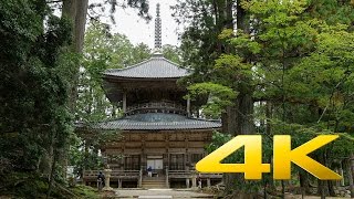 Danjo Garan Koyasan  Wakayama  壇上伽藍  4K Ultra HD [upl. by Moses12]