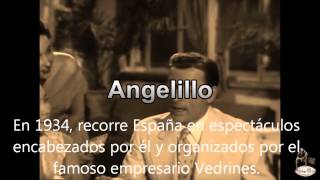 Angelillo  Camino Verde [upl. by Groot]