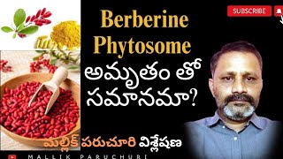 Berberine phytosome ఏయే సమస్యలకు పనిచేస్తుంది నిజంగా అంత అద్భుతమయిన మందు నా [upl. by Valery586]