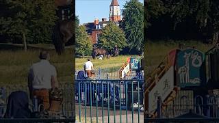 Horses in Birmingham Balsall heath Park [upl. by Alli95]