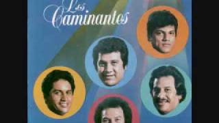 los caminantes lloraremos los dos0001wmv [upl. by Keldon165]