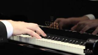 The Grand Pianos  Seiler 208 PE [upl. by Damha]