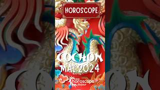 Shorts HoroscopeChinois du Cochon pour Mai 2024 [upl. by Aidul]