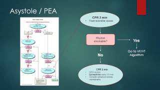 ACLS 2010 Algorithm Review Asystole PEA [upl. by Azriel]