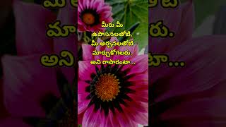 Jeevitha satyalu 1249  neethi vakyalu  manchi matalu  quotations  top matalu  telugu sukthulu [upl. by Yur331]