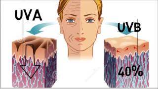 cest quoi les rayonnement ultraviolet [upl. by Benioff]