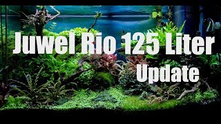 Juwel Rio 125 Liter Aquascape  Update [upl. by Aokek]