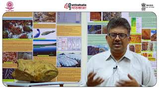 PP Chakraborty Fluvial systems and deposits [upl. by Tilda]