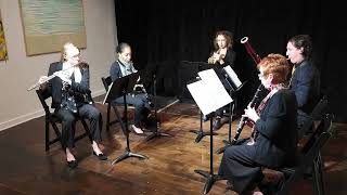 HD REUPLOAD Woodwind Quintet No 2 quotFour Windsquot 2017 by Elaine Fine [upl. by Asaert]