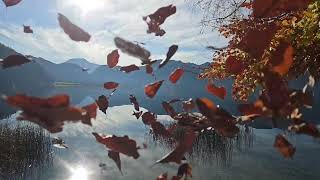 Mondsee Austria Autumn 2024 [upl. by Ahsitul509]