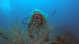 Maldives Kuda Giri Wreck scuba diving 4K [upl. by Sokim419]