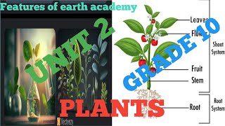 Grade 10 biology unit 2 part 4 25 Seeds 26 seed dispersal and germination [upl. by Melise]