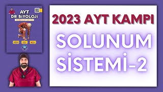 Solunum Sistemi2 AYT Biyoloji Kampı Konu Anlatımı 11Sınıf 2024 Tayfa [upl. by Jaenicke]