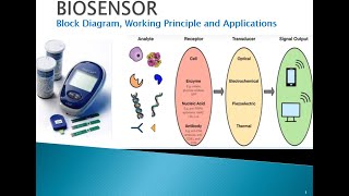 Biosensor Block diagram Working Principle and Application [upl. by Renate365]