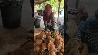 Edible Dried Coconut  Fruit Cutting Skills [upl. by Kincaid33]