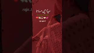 Meda Chan Masa Ta Slowed and Reverb  Shafaullah Khan Rokhri New Song [upl. by Vala190]