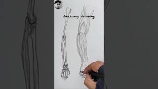 Anatomy drawing  Figure drawing shorts art artist artwork sketch sketchebook anatomy [upl. by Sarilda]