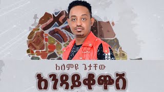 Alemye Getachew  Endaykochesh  እንዳይቆጭሽ  New Ethiopian Music 2024 Official Video [upl. by Arri]