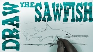 How to Draw the Sawfish Beginner Spoken Tutorial [upl. by Eiramave303]