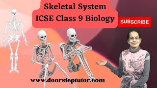 Skeletal System  Axial and Appendicular Skeleton  ICSE Class 9 Biology [upl. by Karoly]