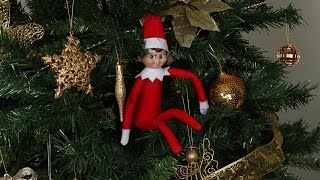 Elf on The Shelf  Hides in the Christmas tree [upl. by Chadabe741]