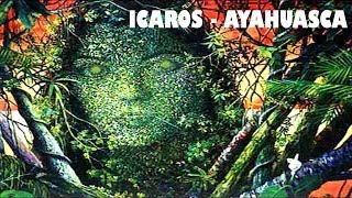 ICAROS CHAMANICOS  Ayahuasca Cantos for travel in Ayahuasca ceremonies アヤフアスカ [upl. by Nuzzi]